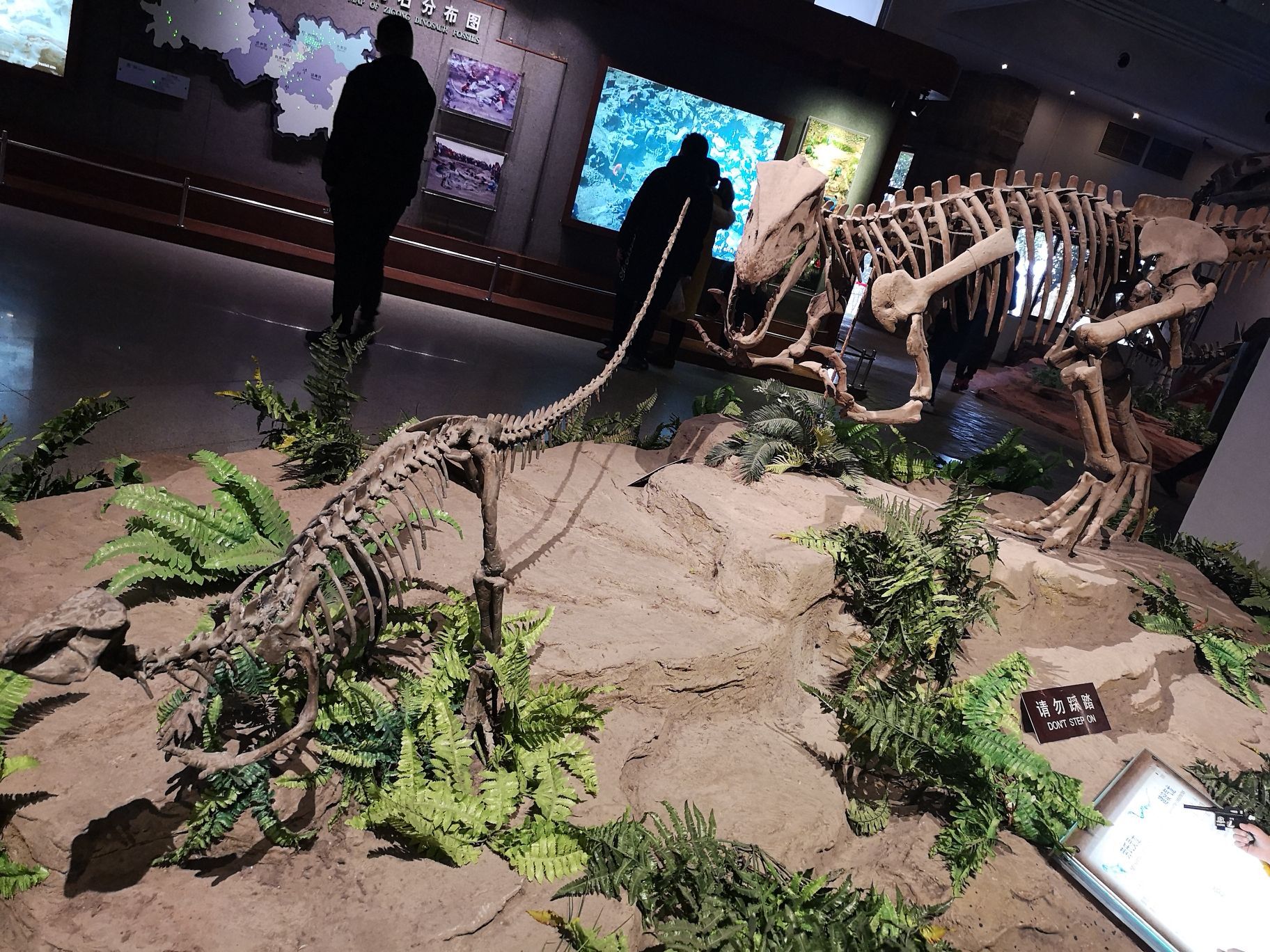 武汉恐龙化石博物馆攻略,武汉恐龙化石博物馆门票/游玩攻略/地址/图片/门票价格【携程攻略】