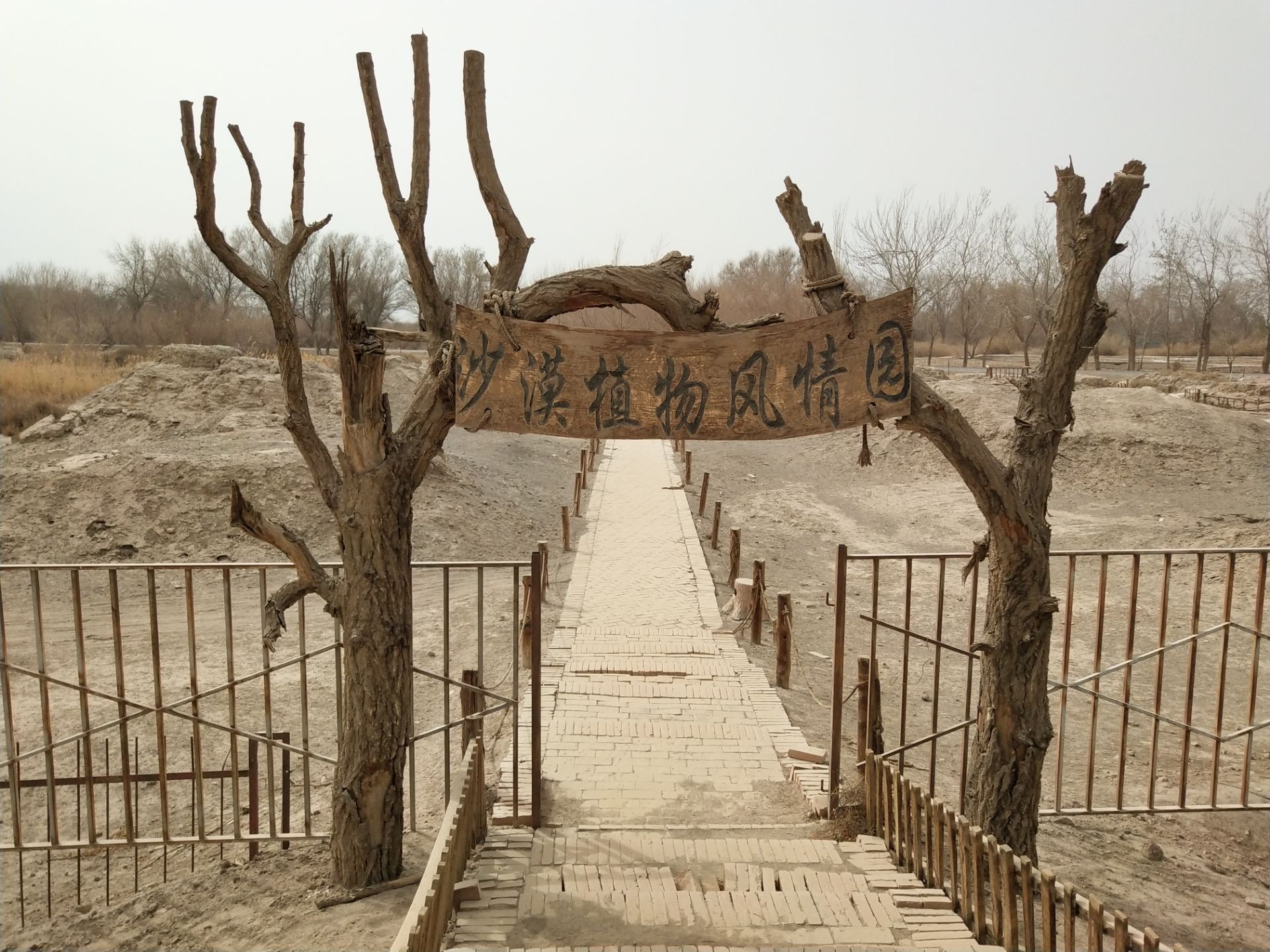 2022沙漠植物风情园游玩攻略,沙漠植物园位于吐鲁番市东南
