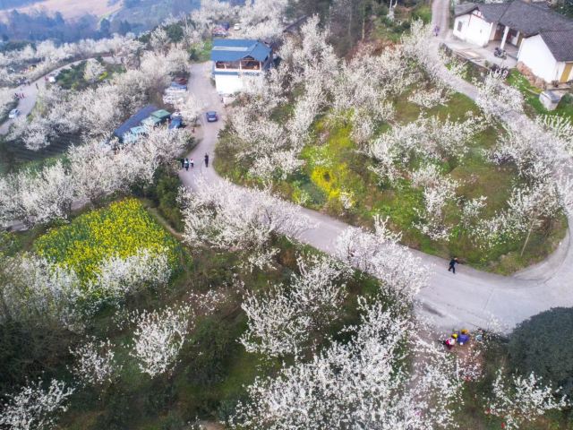 樱桃山旅游景区