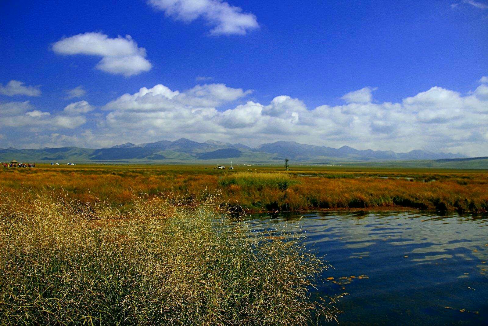 若尔盖-花湖 - 中国国家地理最美观景拍摄点
