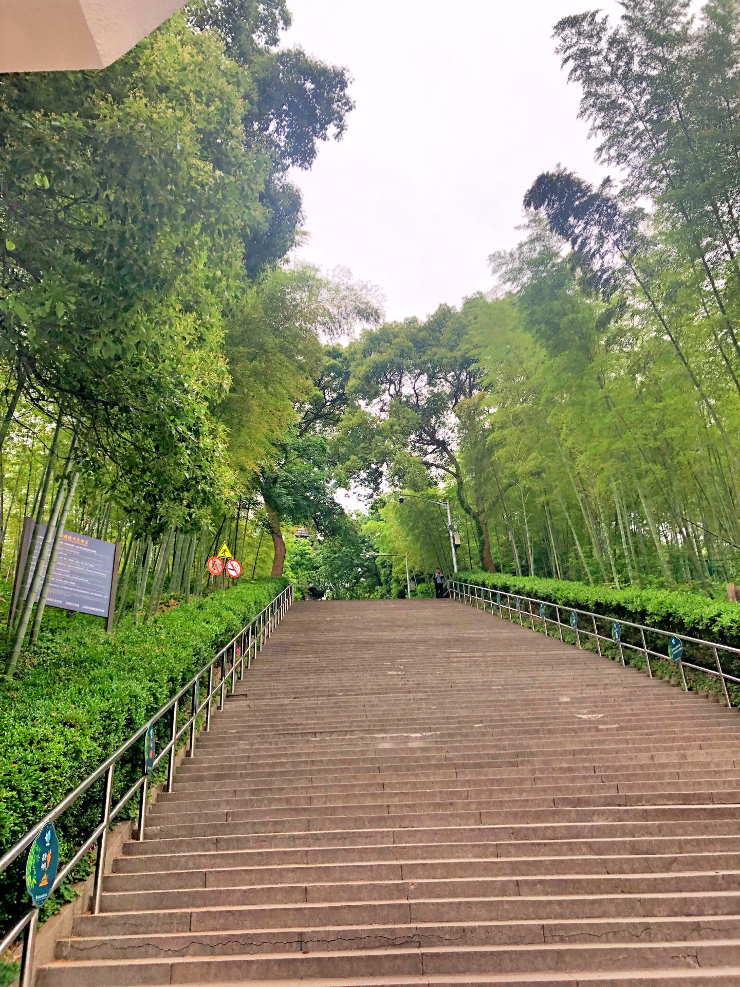 2024上海佘山国家森林公园-东佘山园游玩攻略,实话实说，真的只是爬山了，...【去哪儿攻略】
