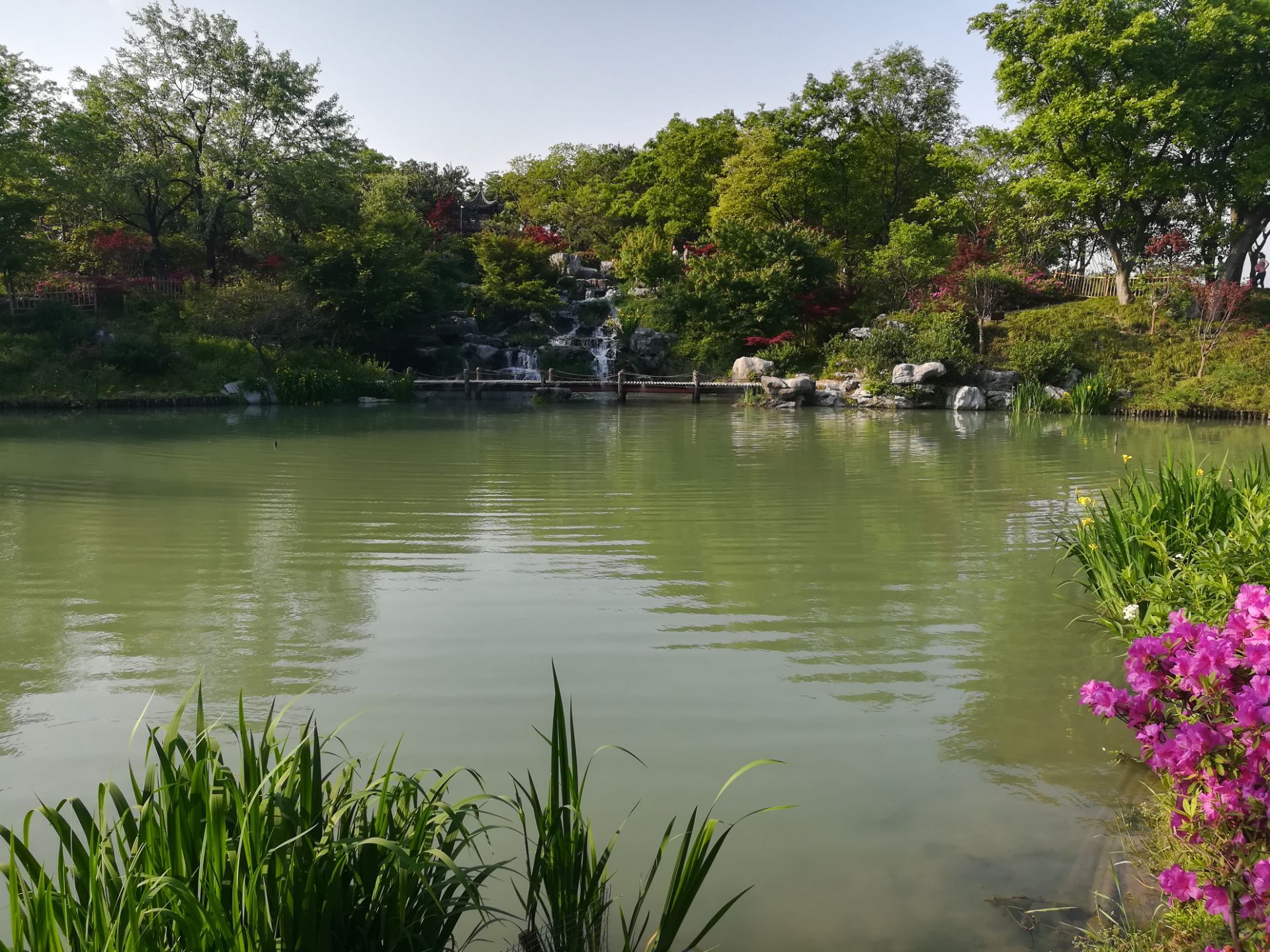 擎雨盖——惠州西湖丰渚园荷花池|摄影|风光摄影|鸡说你可真星 - 原创作品 - 站酷 (ZCOOL)