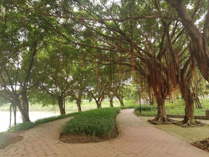 肇庆出头村攻略-出头村门票价格多少钱-团购票价预定优惠-景点地址