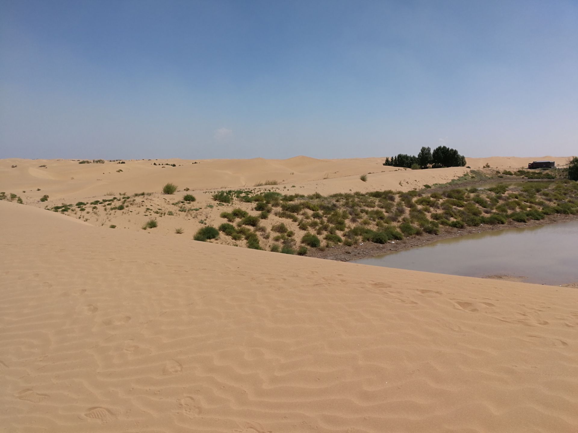 库布奇沙漠走不一样的假期路-鄂尔多斯旅游攻略-游记-去哪儿攻略