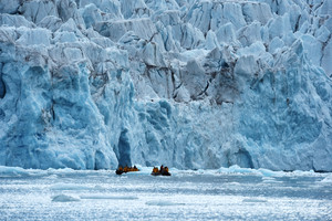 格陵兰游记图文-斯瓦尔巴、格陵兰、冰岛三岛游之三：旅行漫记