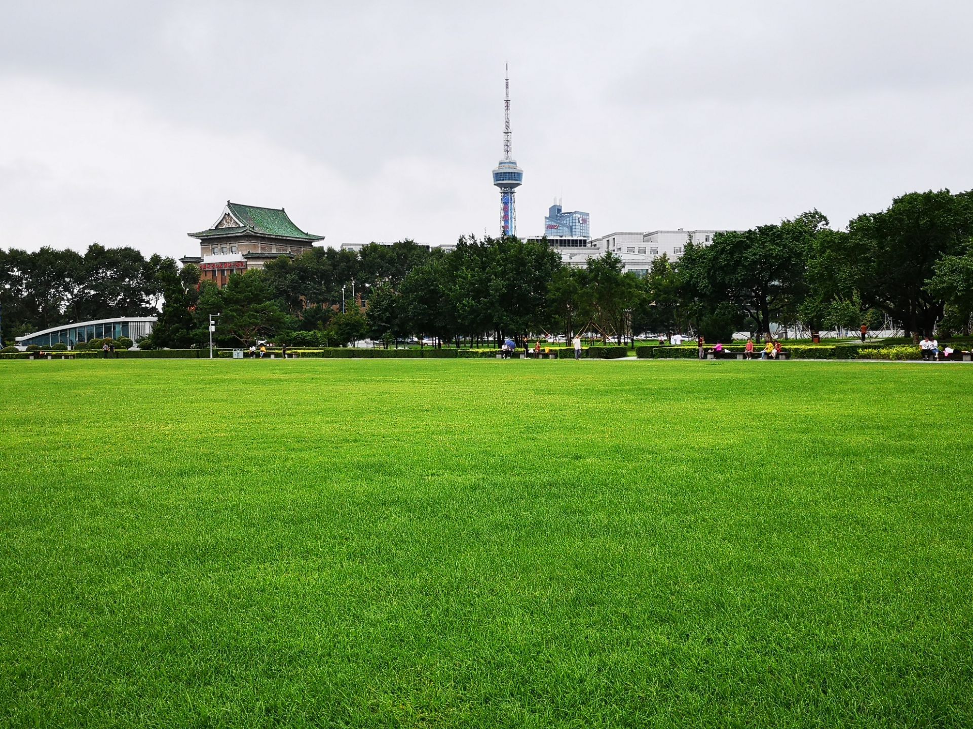 2021文化广场游玩攻略,主要由石板,草坪,树木和雕.【去哪儿攻略】