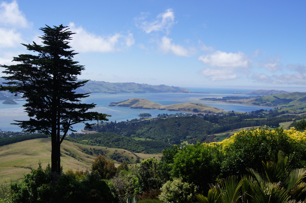 南半球的夏天--- 澳大利亚 悉尼/纯净新西兰 环南岛自驾游