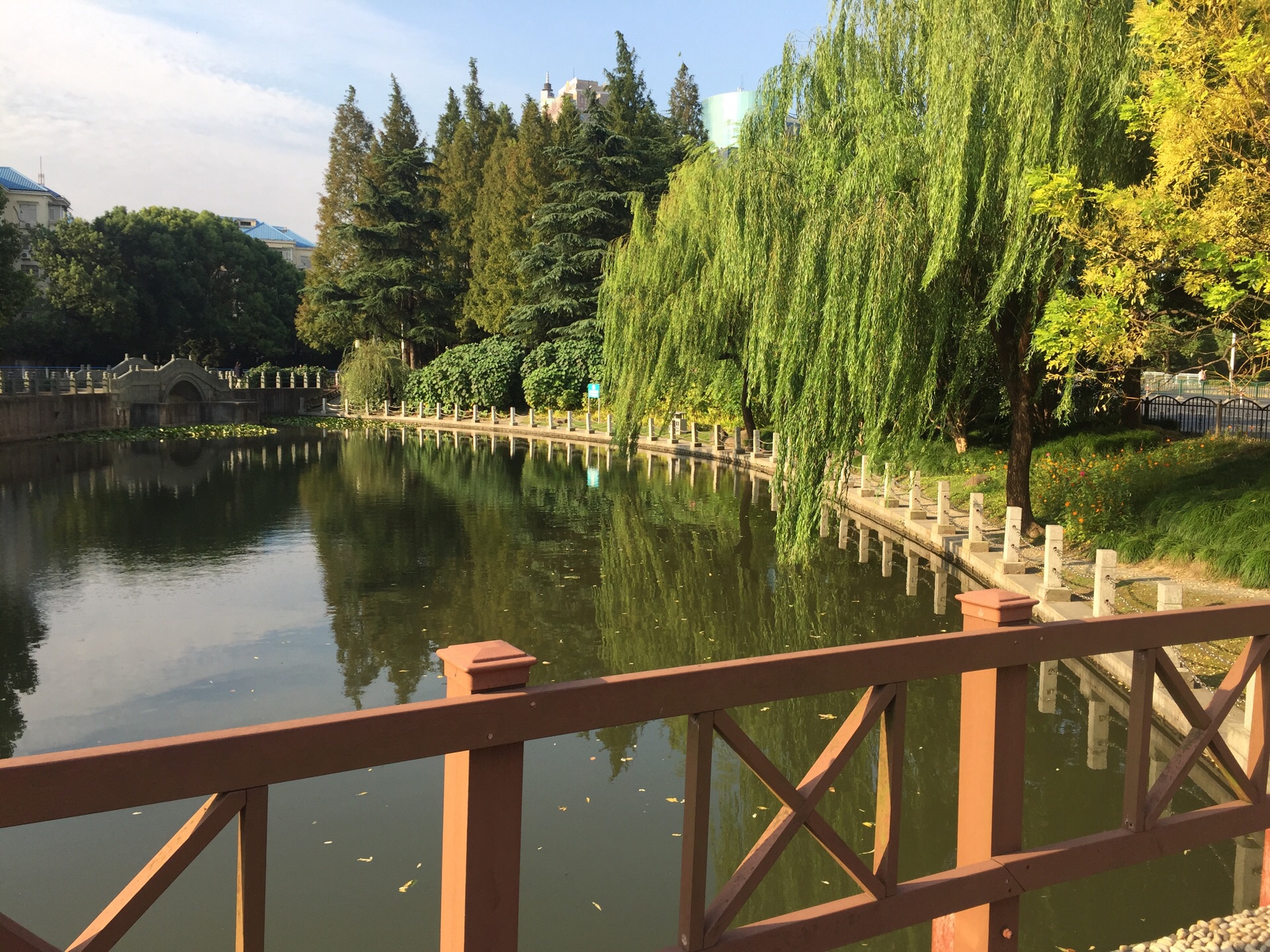 上海塘桥公园图片