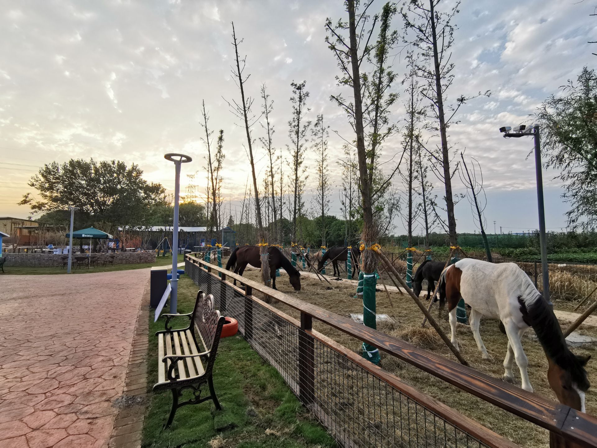 伊酷拉探索岛旅游景点攻略图