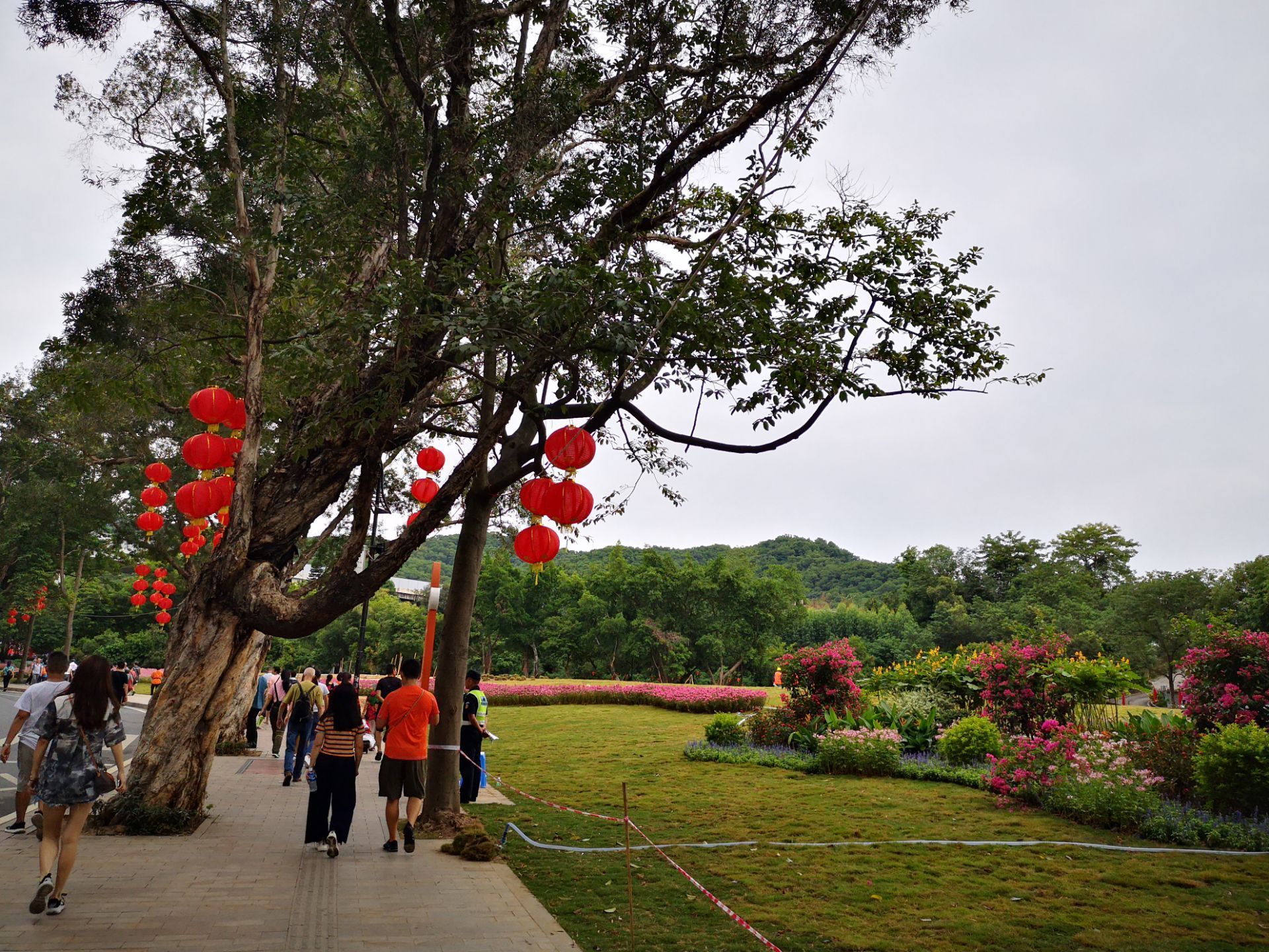 2020云台花园-旅游攻略-门票-地址-问答-游记点评，广州旅游旅游景点推荐-去哪儿攻略