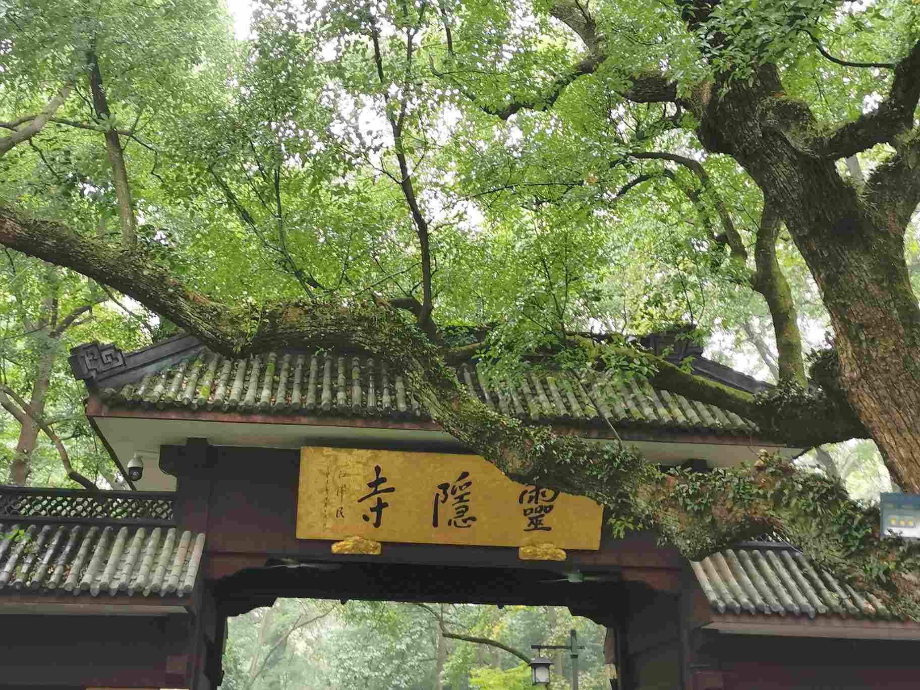 杭州靈隱寺好玩嗎,杭州靈隱寺景點怎麼樣_點評_評價【攜程攻略】