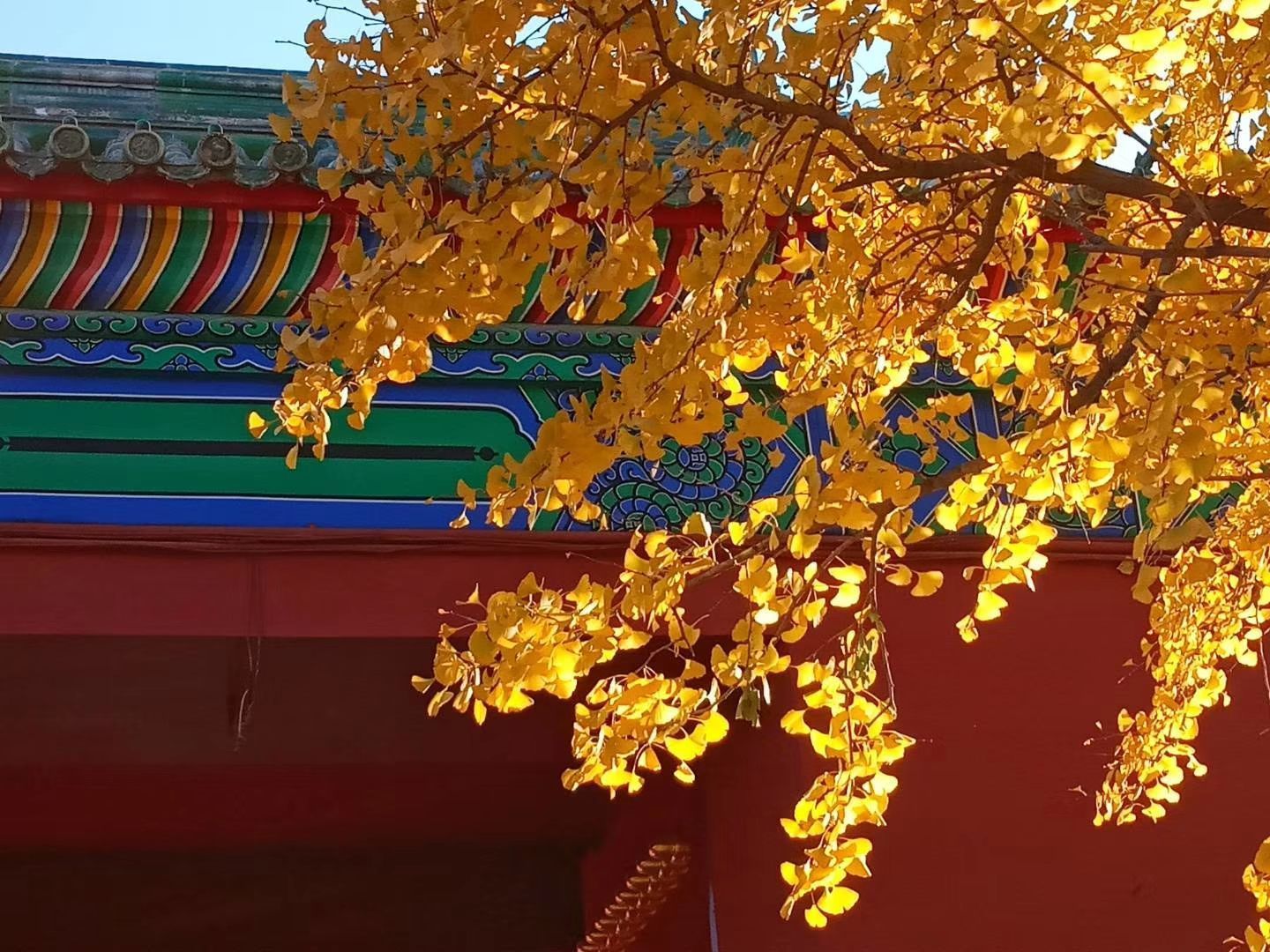 【携程攻略】北京地坛景点,地坛公园又称方泽坛，是帝都北京五坛中的第二大坛，是现存的最大的祭…