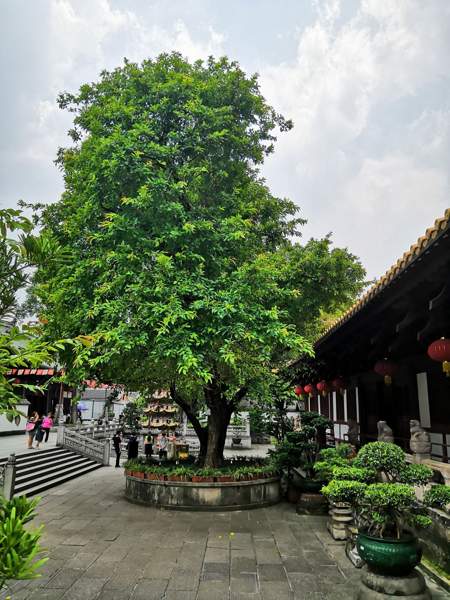 【携程攻略】广州光孝寺景点,光孝寺建筑结构严谨,殿宇雄伟壮观,特别