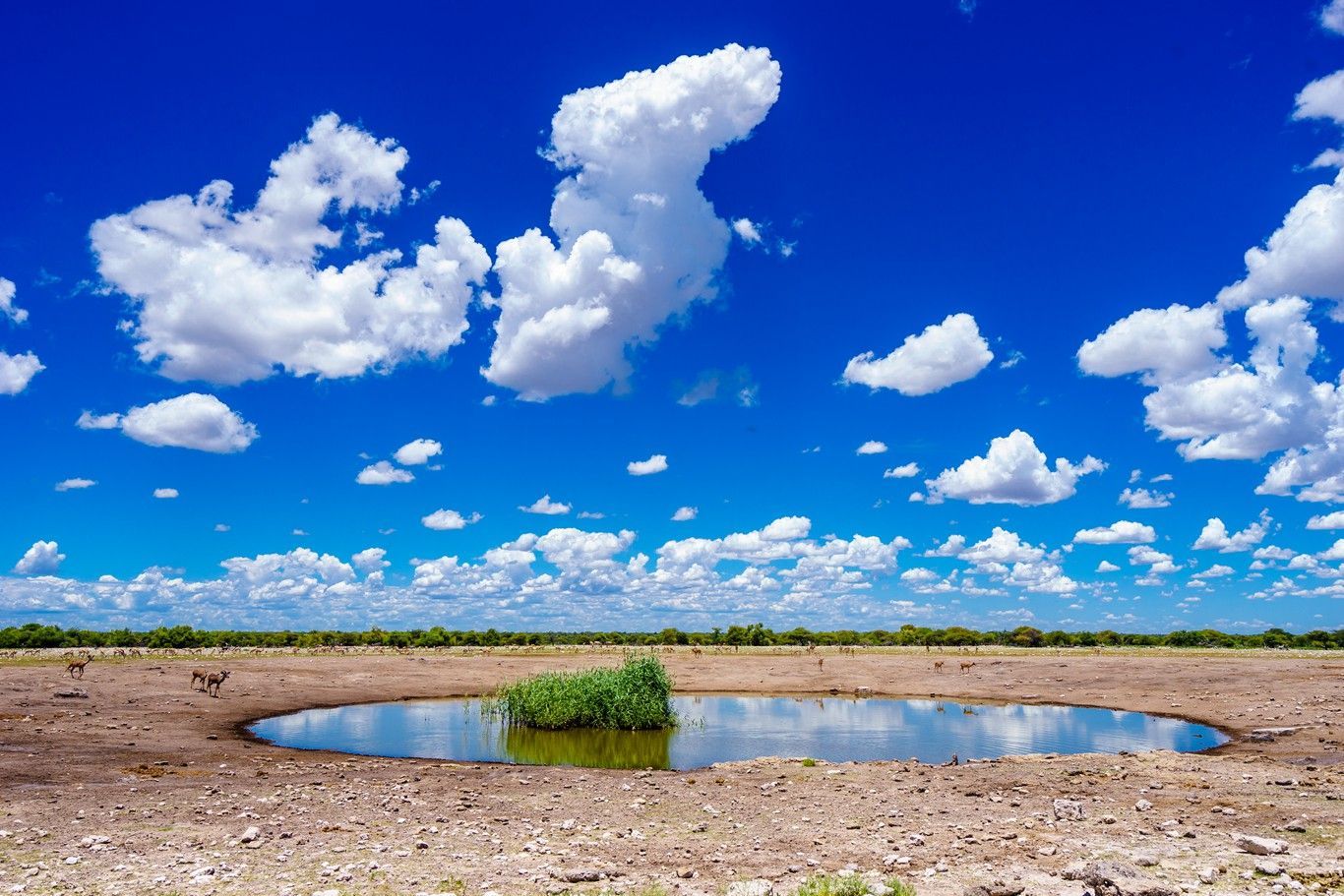 埃托沙国家公园埃托沙天然野生动物园好玩吗,埃托沙国家公园埃托沙