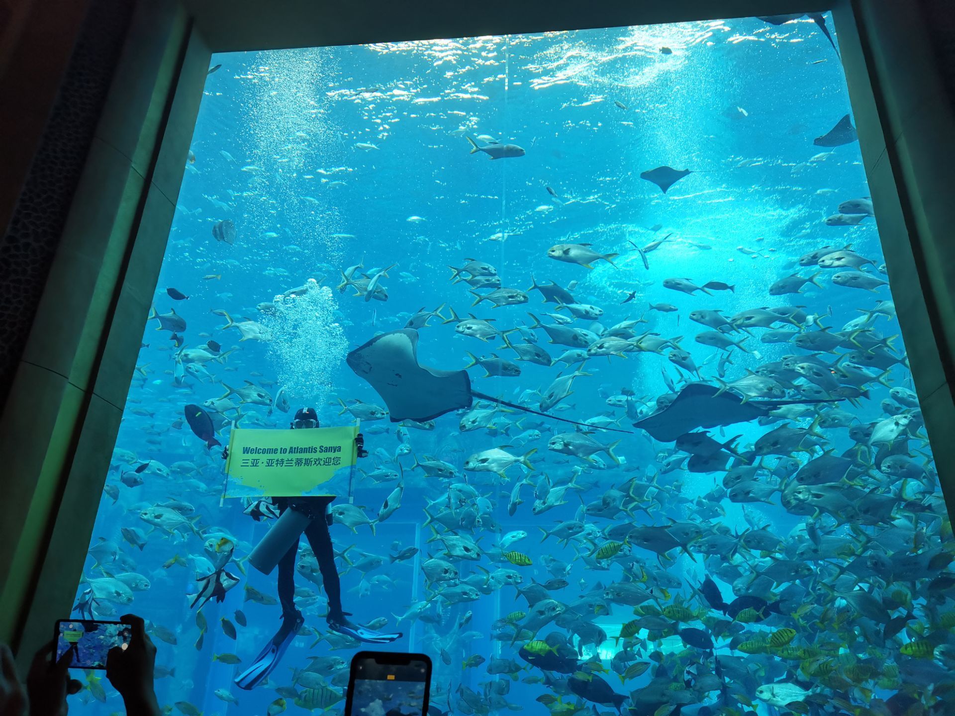 三亞亞特蘭蒂斯失落的空間水族館