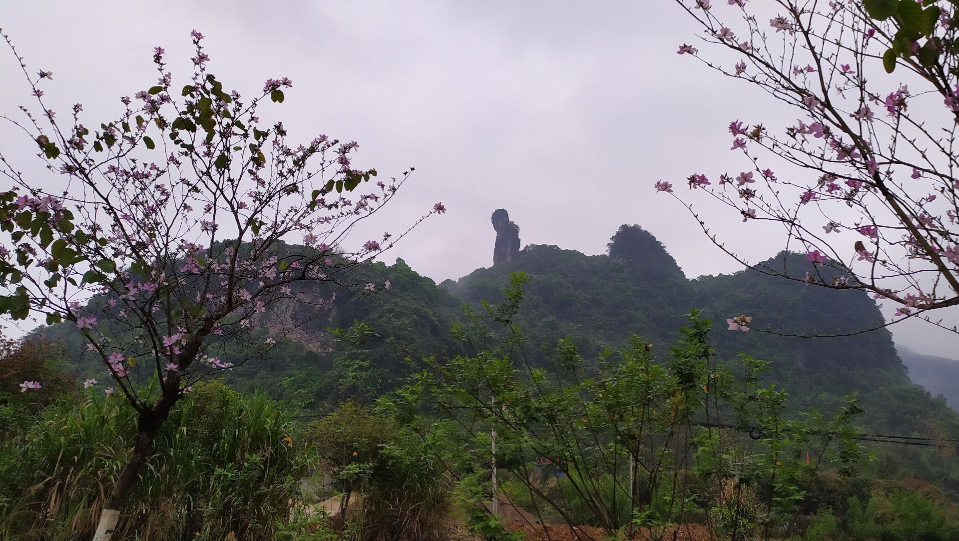 后天有人介绍这个叫东郎山,另外还有一座西郎山