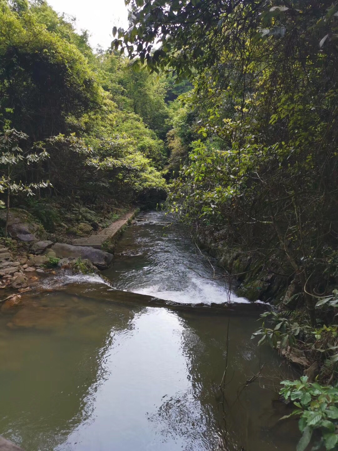 株洲仙人桥大峡谷好玩吗,株洲仙人桥大峡谷景点怎么样