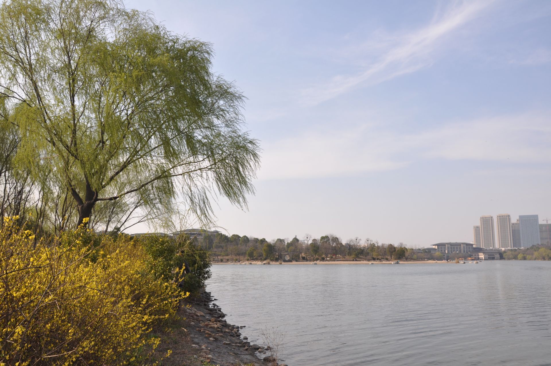 翡翠湖公園就在母校附近,親眼見證了母校和翡翠湖公