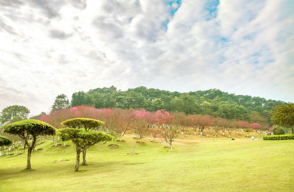 石門森林公園