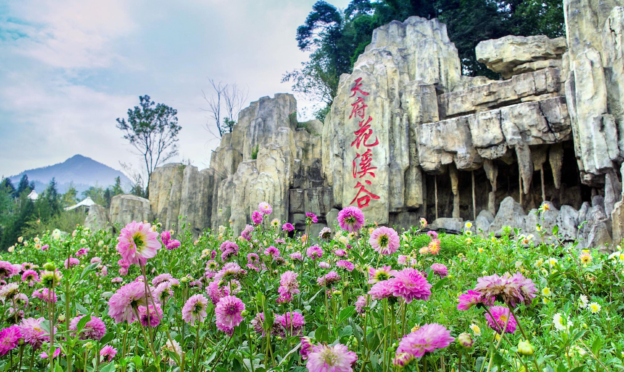 天府花溪图片