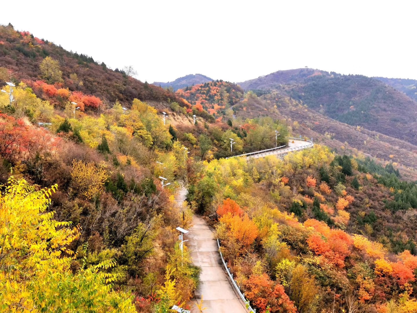 門頭溝區戒臺寺攻略,門頭溝區戒臺寺門票/遊玩攻略/地址/圖片/門票