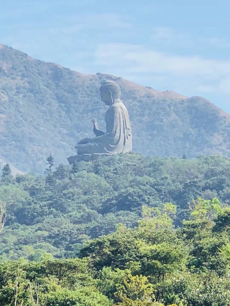 香港大屿山宝莲禅寺图片