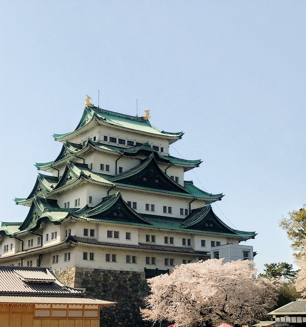名古屋名古屋城好玩吗,名古屋名古屋城景点怎么样_点评_评价【携程攻