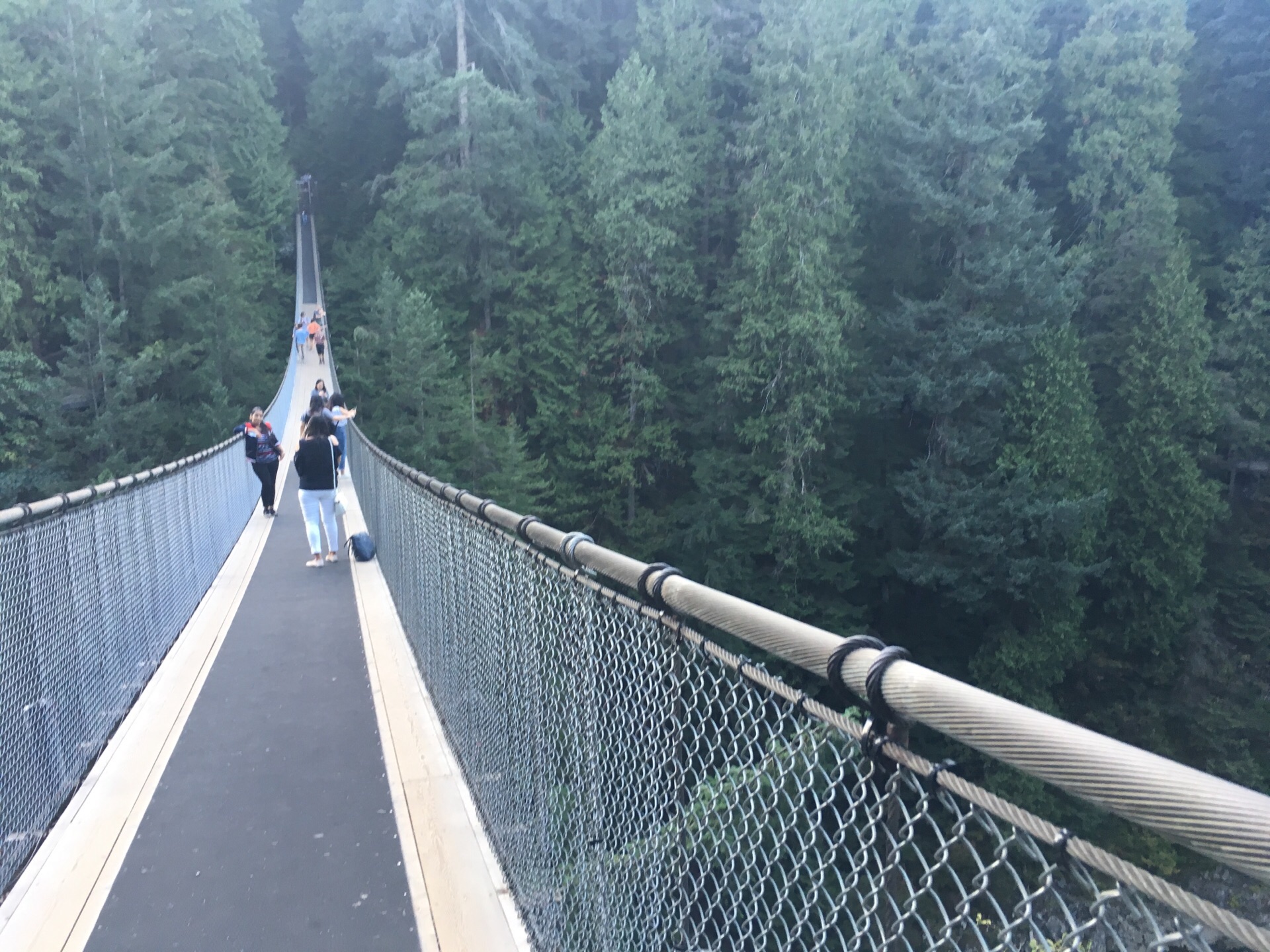 瑞士开放世界最长步行吊桥 长度超过张家界玻璃桥