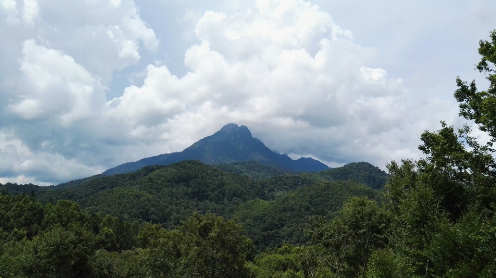 五指山热带雨林风景区