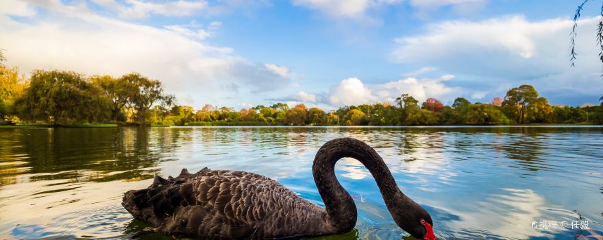 117人感兴趣 温泉自然风光城市串游