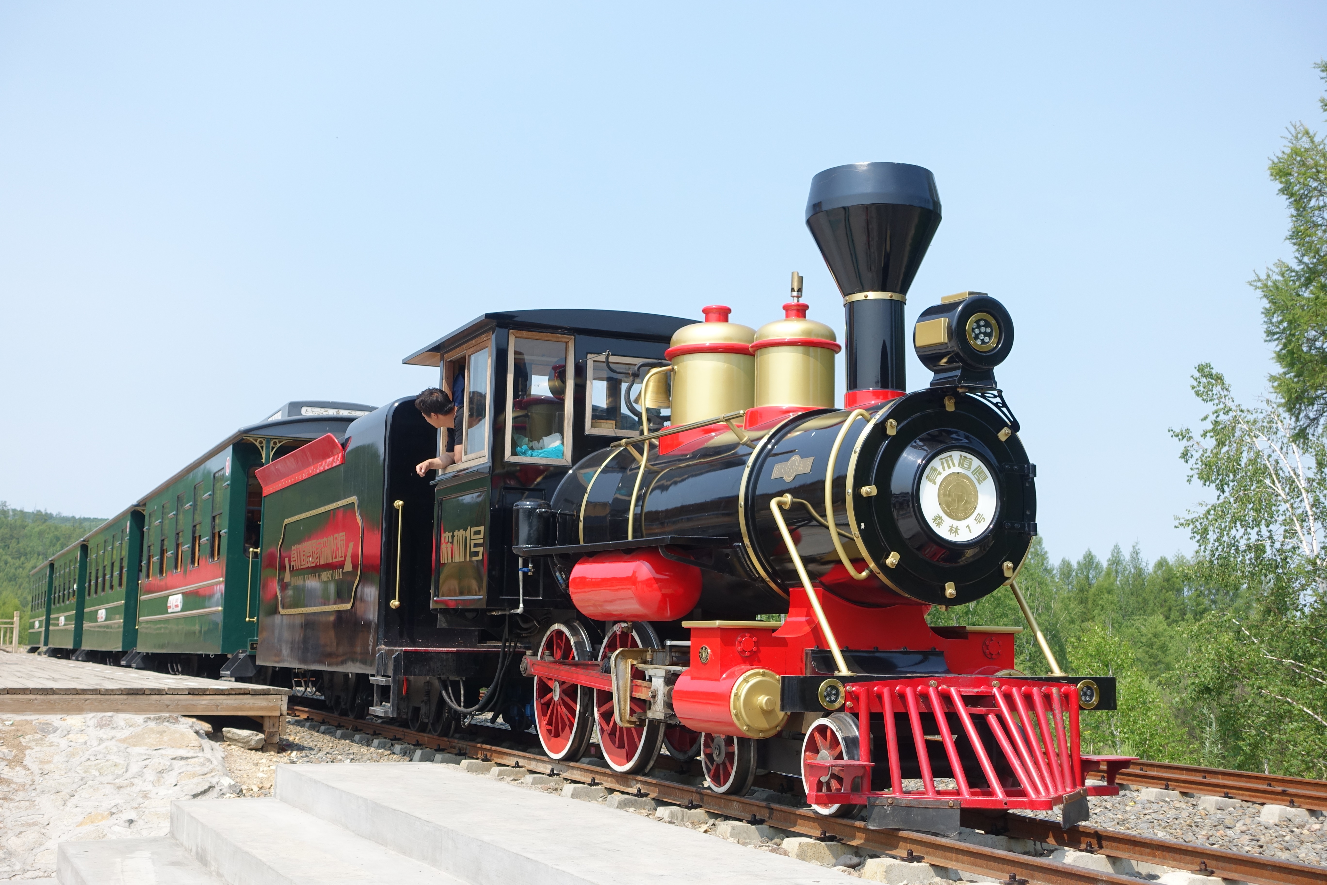 因为公园内部修路,不让私家车进入,只能乘坐观光小火车(车票100/人,免