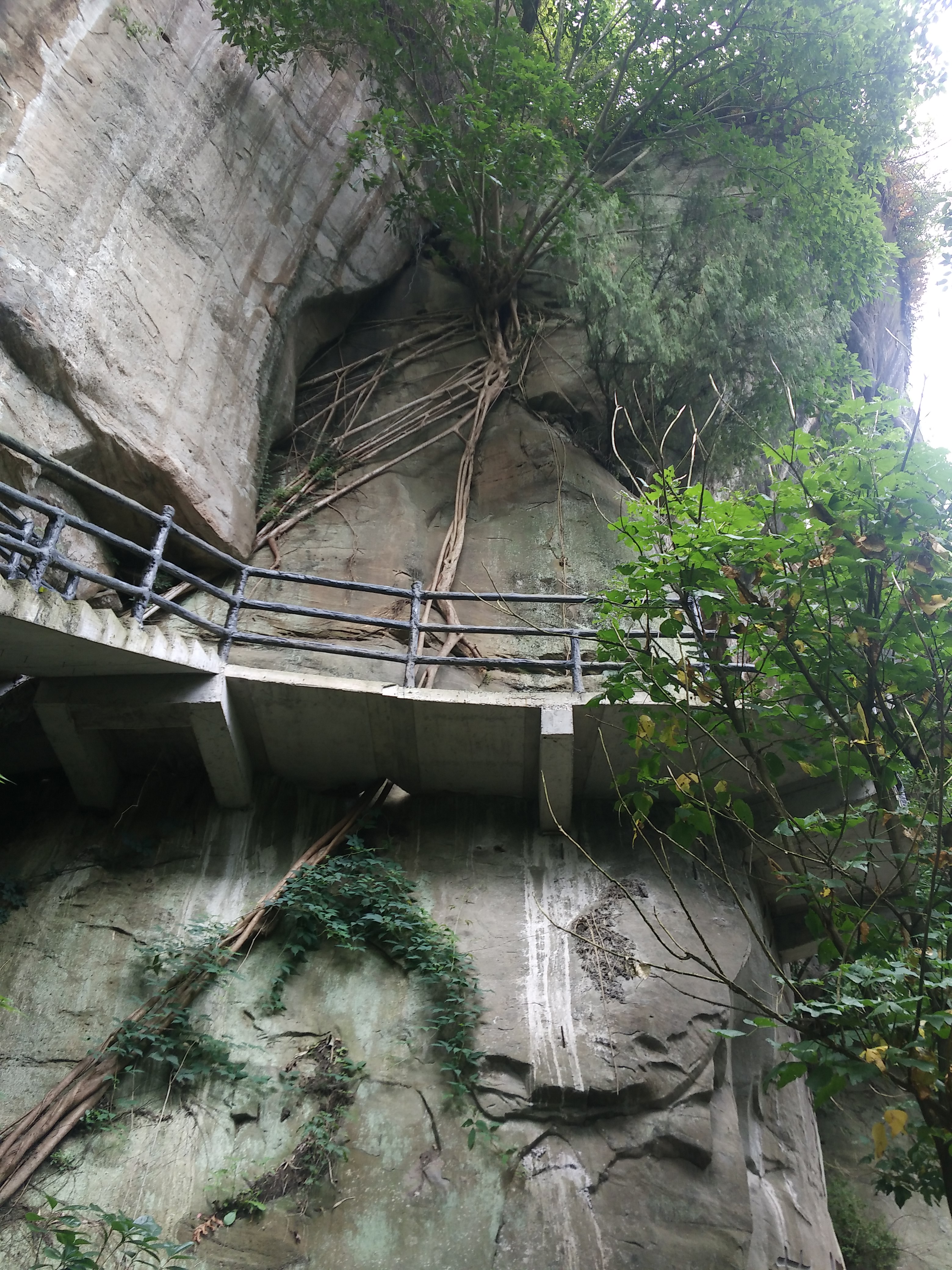 萬州旅遊景點推薦 - 去哪兒攻略社區