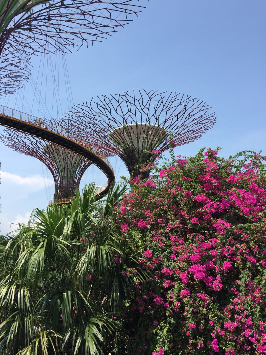 濱海灣金沙空中花園