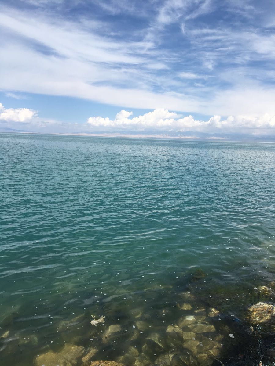 西寧青海湖 茶卡鹽湖一日遊