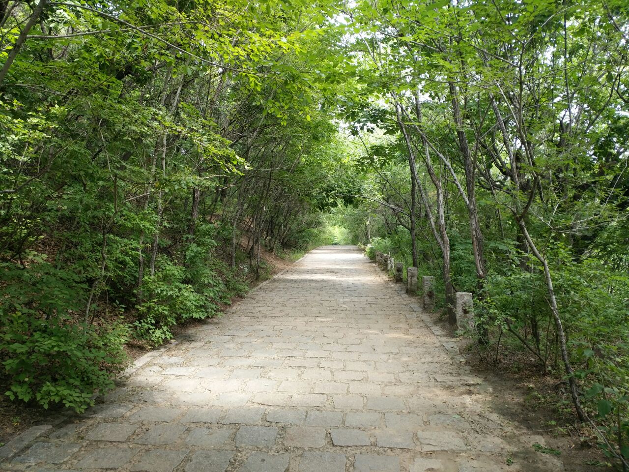 2023观潭山游玩攻略,观潭山是净月潭风景名胜区内.【去哪儿攻略】