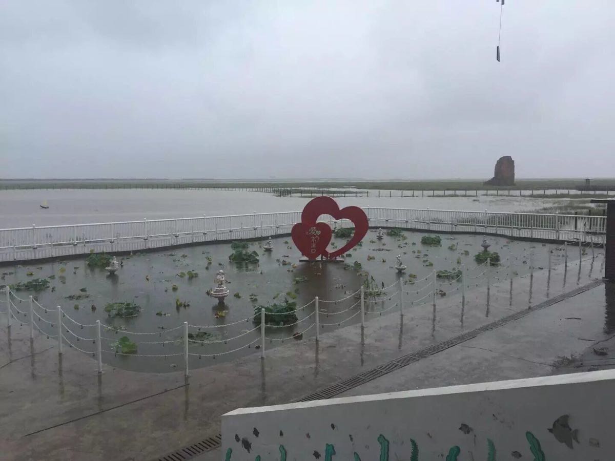 洋口镇甜港村的中心河（生态河）上工作人员正打捞水面漂浮物-如东县人民政府