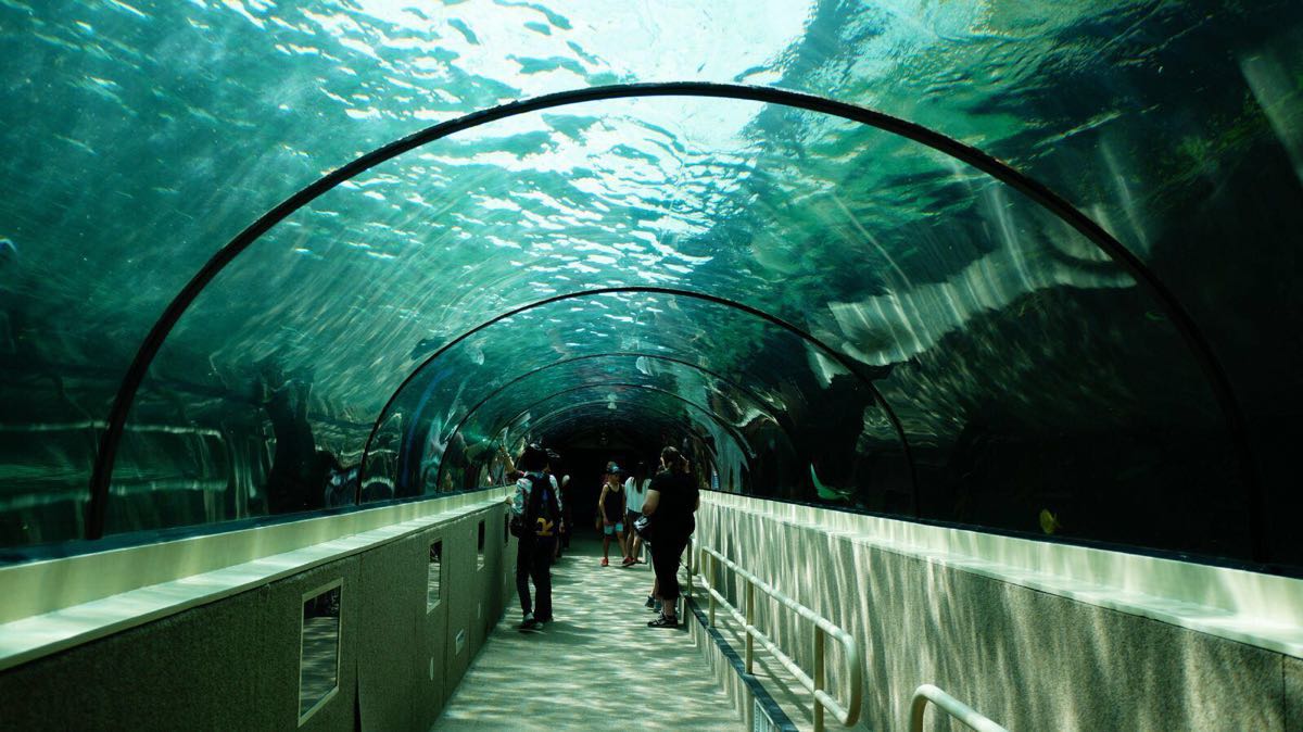 悉尼水族馆