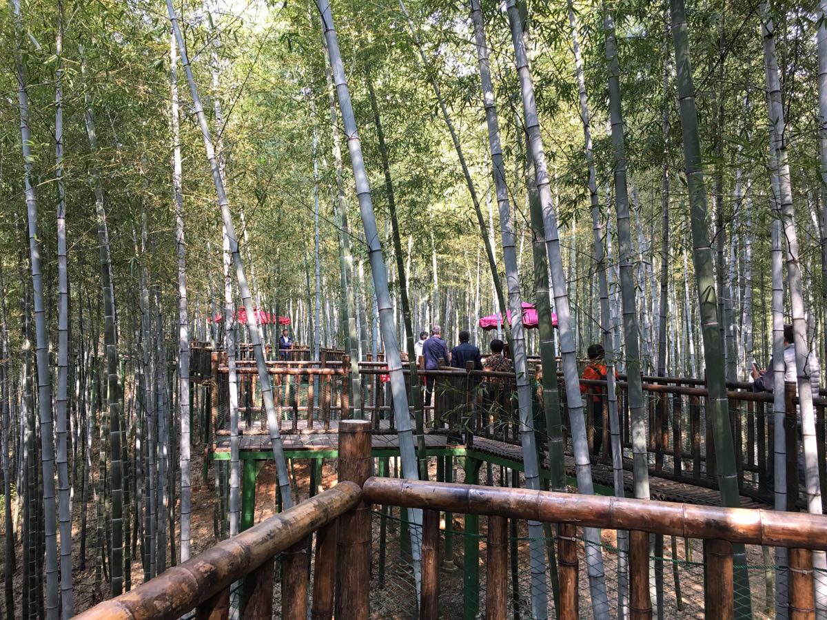 宜兴竹尖玻璃栈道攻略,宜兴竹尖玻璃栈道门票/游玩攻略/地址/图片