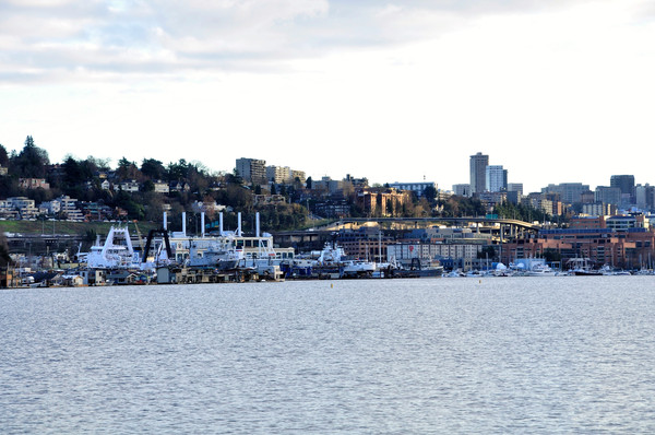 美国华盛顿西雅图seattle(20-20)-煤气厂公园gas work park