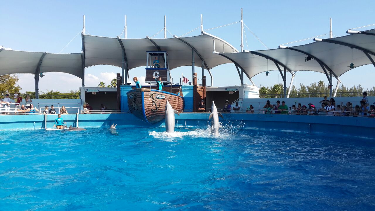 迈阿密水族馆