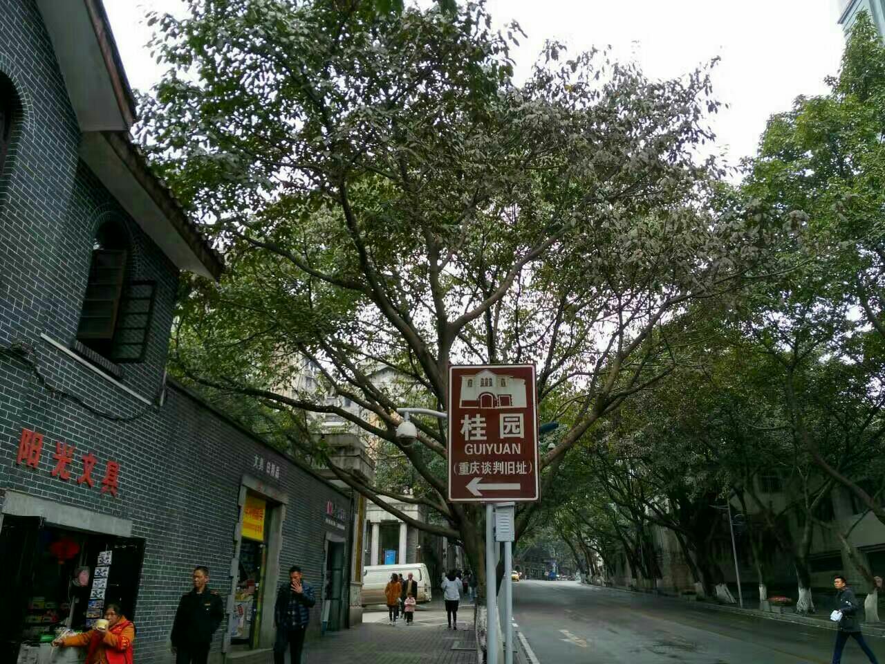 重庆桂园-中关村在线摄影论坛