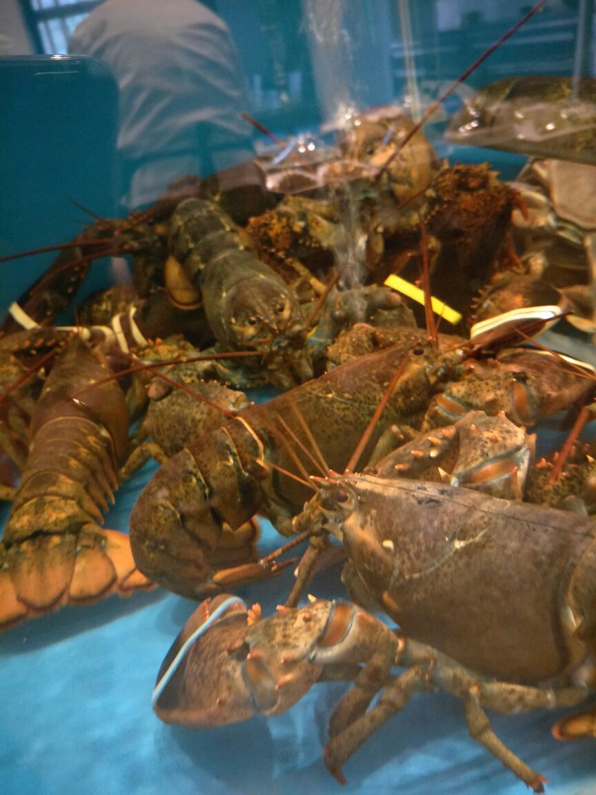 名岛海鲜(爱建店)