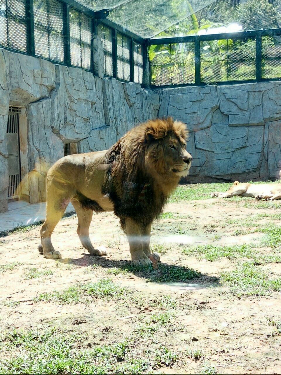 廣州動物園