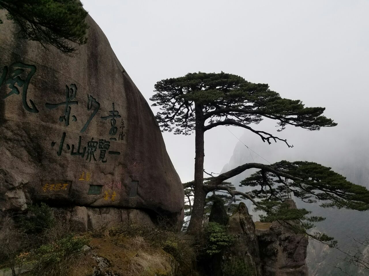 2019迎客松_旅遊攻略_門票_地址_遊記點評,黃山區旅遊景點推薦 - 去