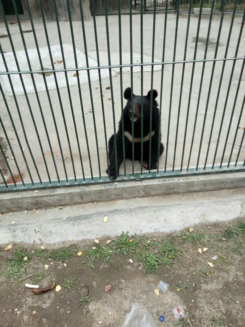 太原動物園