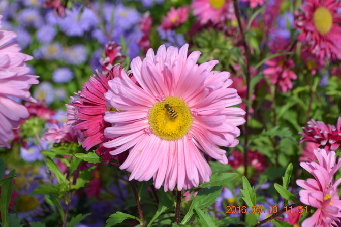 来一次大西北吧!感受西部,甘肃、青海、敦煌环