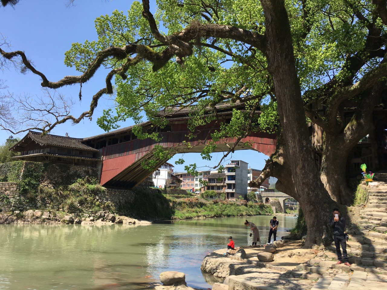 泰顺北涧桥陆子坚图片