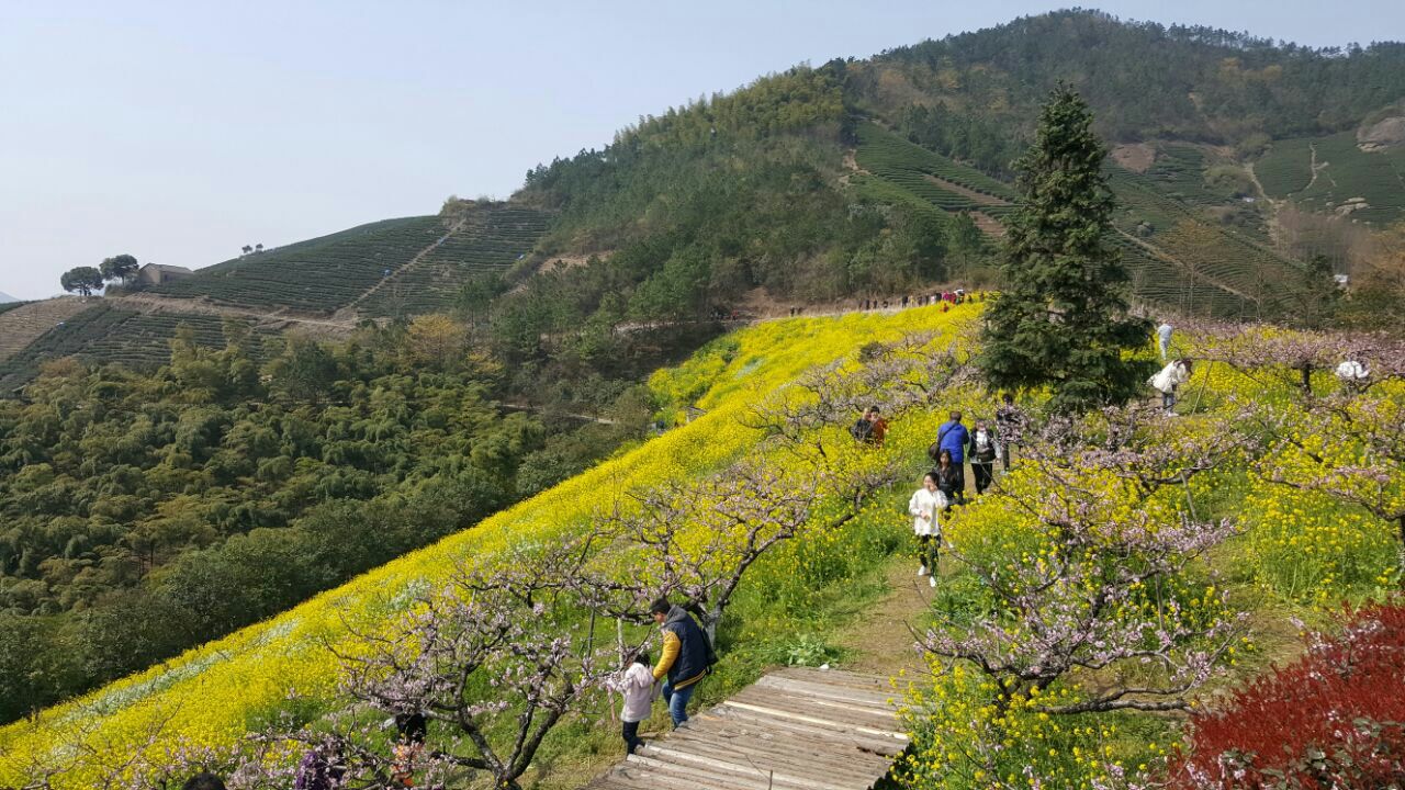 2019城山溝桃源山莊_旅遊攻略_門票_地址_遊記點評