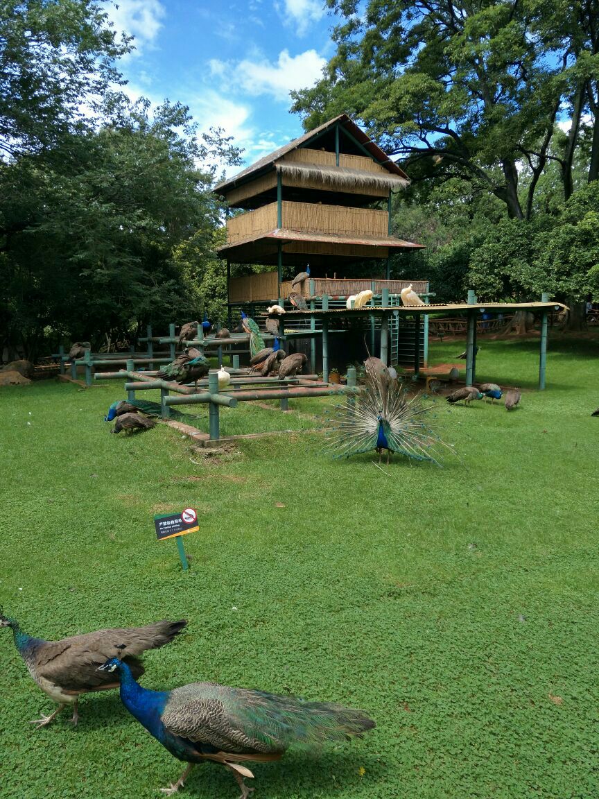 昆明動物園