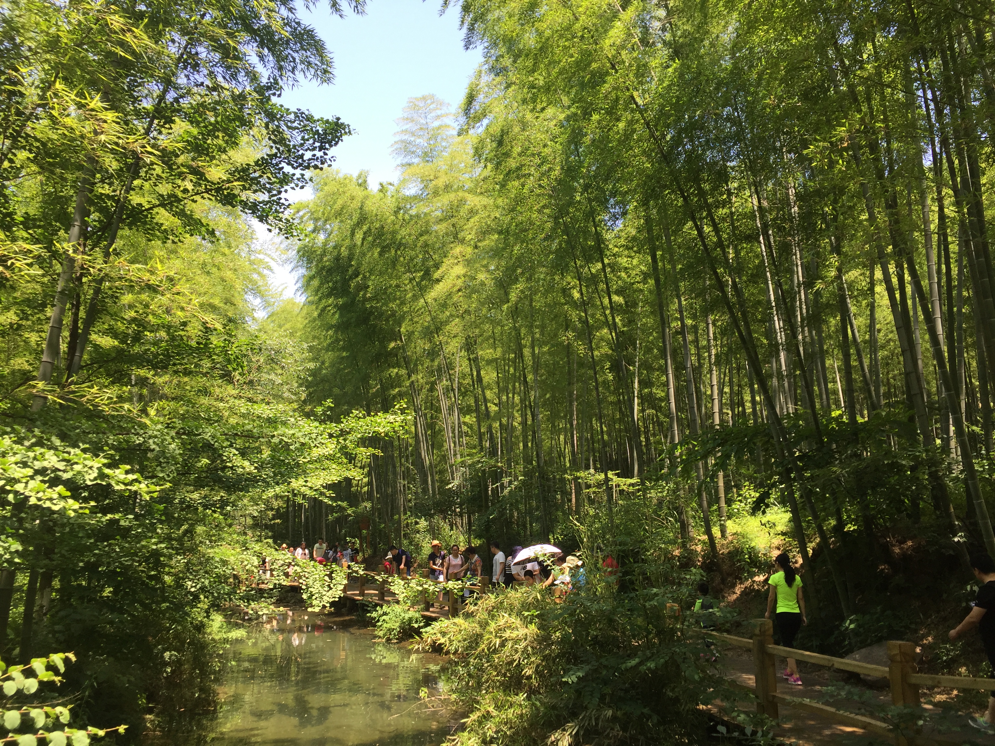 【攜程攻略】天目湖南山竹海適合情侶出遊旅遊嗎,南山竹海情侶出遊